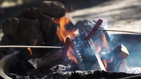 Close-up of hot dogs roasting over an open campfire Stock Footage 138476409