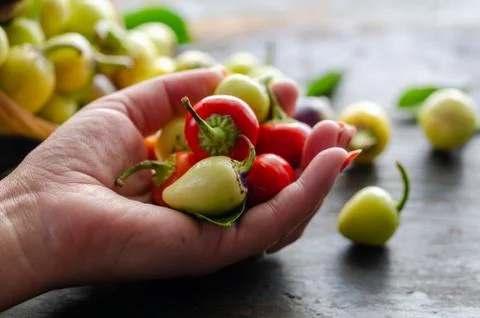 Close up of hot pepper Stock Photos