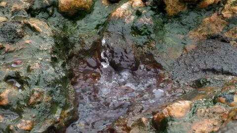 Close up of hot spring bubbles Stock Footage 306766633