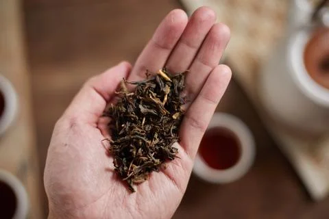 Close up hot tea Stock Photos