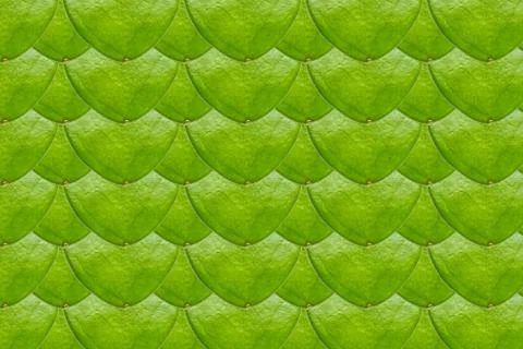 Close up of hoya leaf Stock Photos