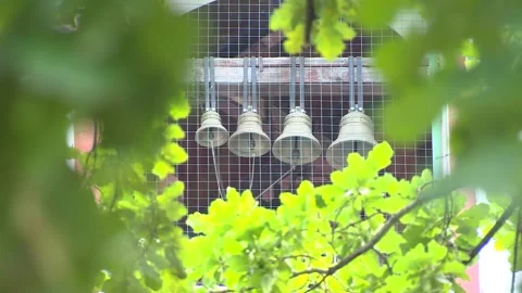 Close-up of huge bells. Bell ringing inside church, without people in the frame. Stock Footage 94889403