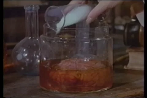 Close-up of human brain reanimated in lab Stock Footage 11353757