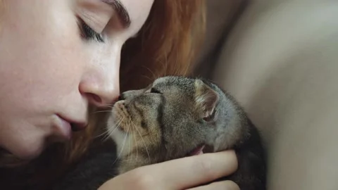 Close-up of human-cat communication Stock-Footage 195163564