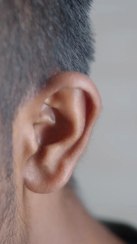Close-up of a Human Ear Stock Footage 339119526