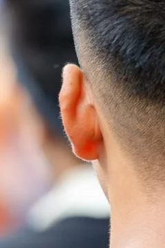 Close-up of human ear, side profile, short dark hair Stock Photos