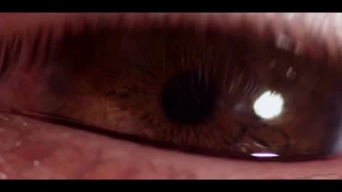 Close up of human eye blinking with detailed iris Video stock 329753091