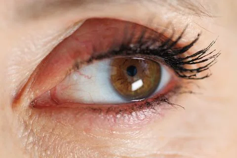 Close-up of human eye with brown iris and long lashes Stock Photos