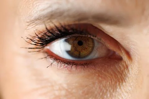 Close-up of a human eye with brown iris and long lashes Stock Photos