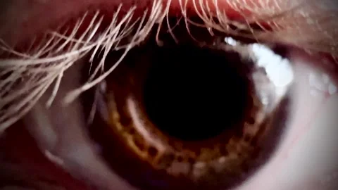 Close-up of human eye with detailed iris, dilated pupil. Stock Footage 321307529