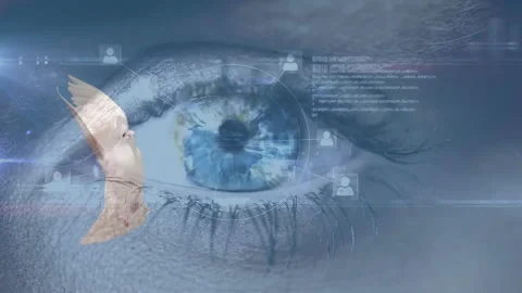 Close-up of human eye with digital interface and bird animation Stock Footage 303685145