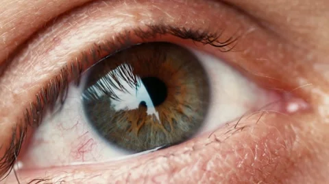 Close up of human eye Vidéo 47976184