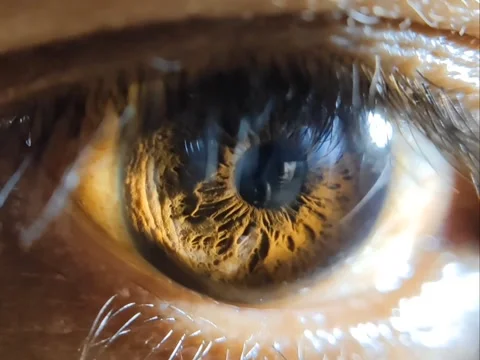 Close up of a human eye Stock Footage 318727984