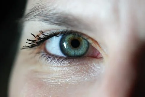 Close-up of human eye with green iris and long lashes Stock Photos