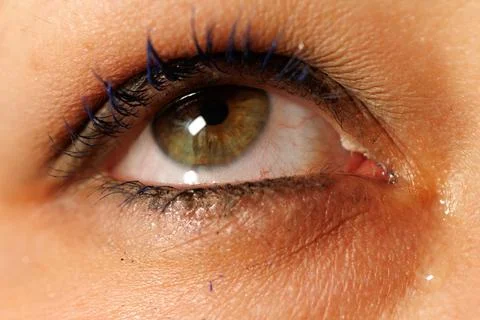 Close-up of human eye with green irises and dark lashes Stock Photos