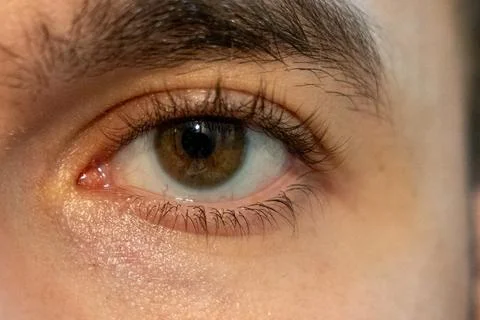 Close-up of a human eye highlighting intricate details such as eyelashes and Stock Photos