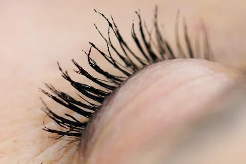 Close-up of a human eye with long, dark lashes Stock Photos