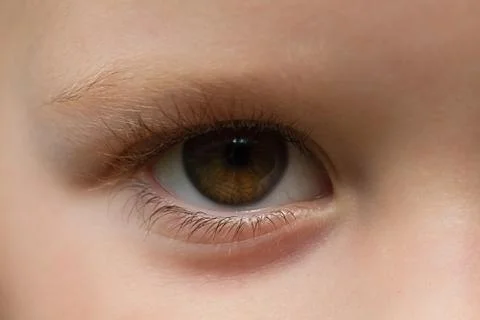 Close-up of a human eye Stock Photos