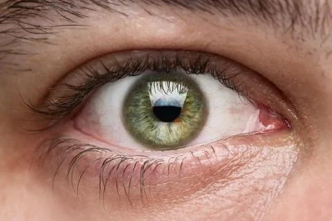Close up of human eye Stock Photos