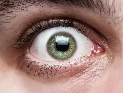 Close up of human eye Stock Photos