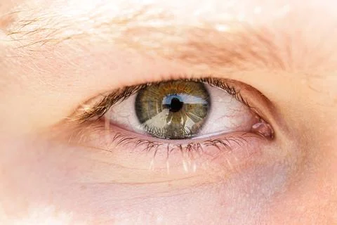 Close-Up of a Human Eye Stock Photos