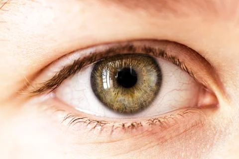 Close-Up of a Human Eye Stock Photos