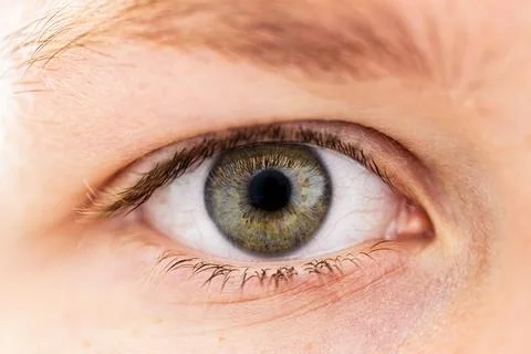 Close-Up of a Human Eye Stock Photos