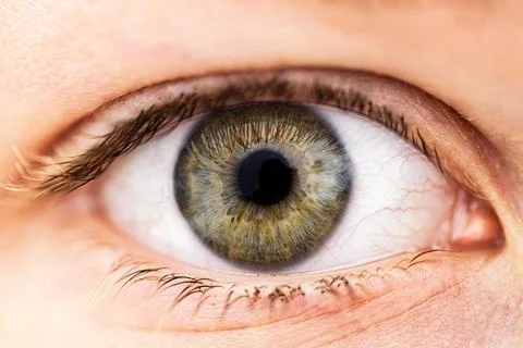 Close-Up of a Human Eye Stock Photos