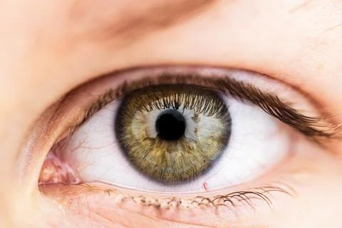 Close-Up of a Human Eye Stock Photos