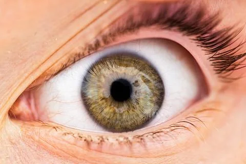 Close-Up of a Human Eye Stock Photos