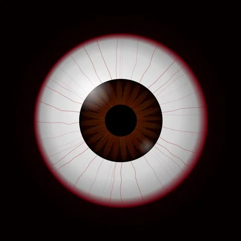 Close up of human eye reflection with red blood vessel detail Stock Footage 345691218