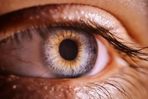 Close-up of a human eye showcasing intricate details of iris, pupil, and ey.. Stock Photos