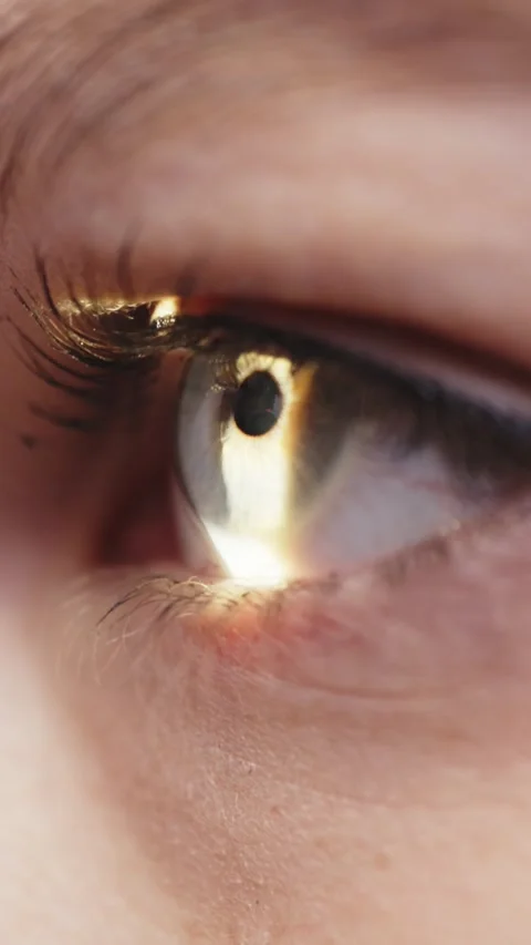 Close-up of human eye showing detailed iris and pupil, with reflections visible, Stock Footage 337386253