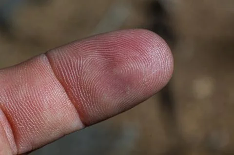 Close-up of Human Fingerprint Pattern Stock Photos