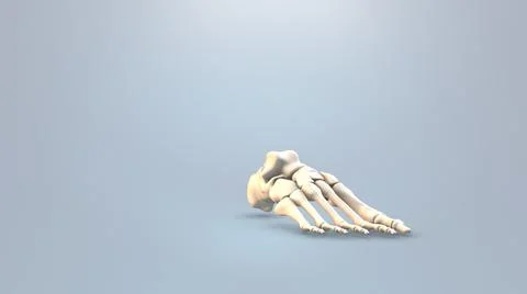 Close up of human foot bone abstract background Stock Illustration