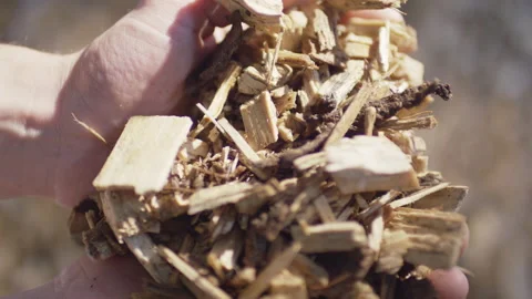 Close up of human hand holding a pile of natural wood chips Video stock 155205301
