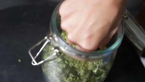 Close up a human hand picking up some dried herb bud inside a transparent jar Stock Footage 160524330