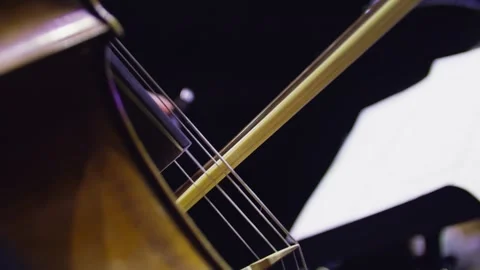 Close-up of a human hand playing cello with a bow at the concert. Orchestra. Stock Footage 303407480