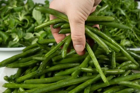 Close up of human hand with raw string beans Stock Photos