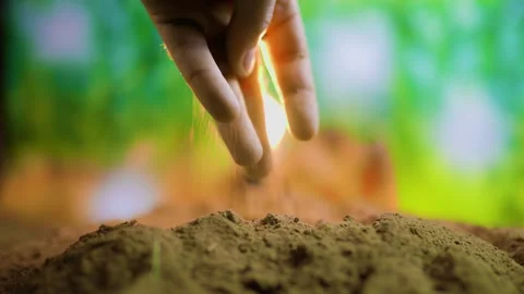 A close-up of a human hand tilling the soil with selective focus Stock Footage 267060340