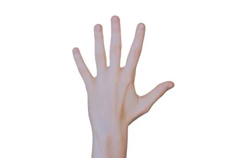 Close-up of human hand on white background Stock Photos