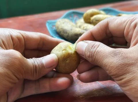 Close up of human hands peeling fresh raw potato with hand Stock Photos