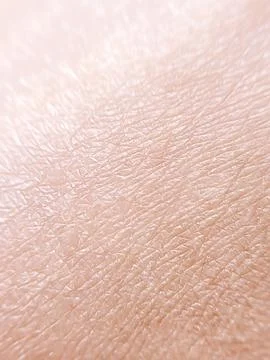Close-up of human skin texture Stock Photos