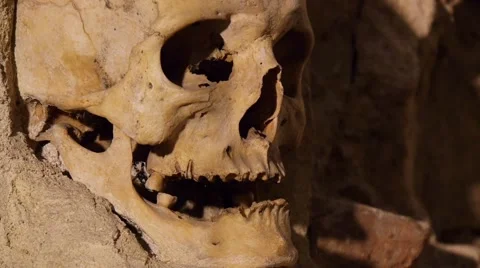 Close up of human skull  Stock Footage 44476562