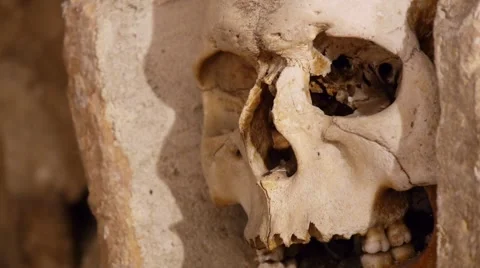 Close up of Human Skull Stock-Footage 44476601