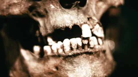 Close up of Human Skull Stock Footage 59917211