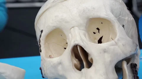 Close-up of a human skull. Stock Footage 167670025