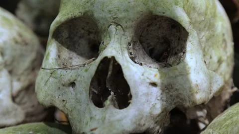 Close-up of a human skull. Video stock 217390038