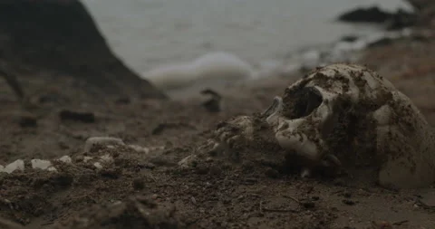 Close up of human skull half buried on beach. Stock Footage 163237538