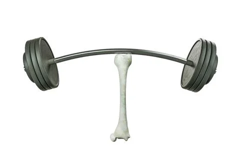 Close up of human thigh bone lifting barbells in white background. Stock Illustration